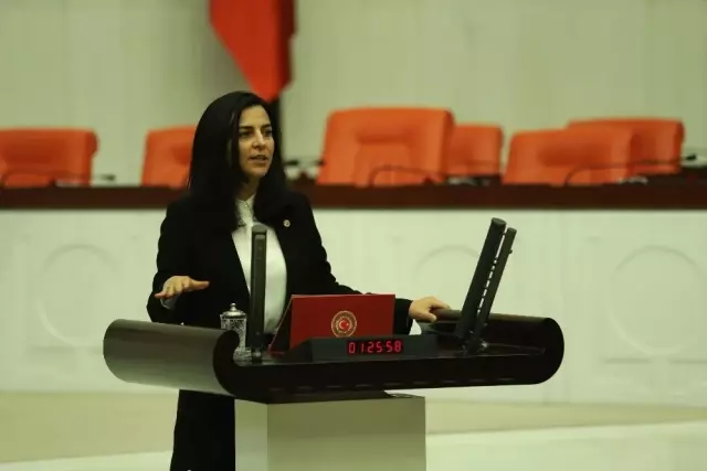 Müşerref Pervin Tuba Durgut:
