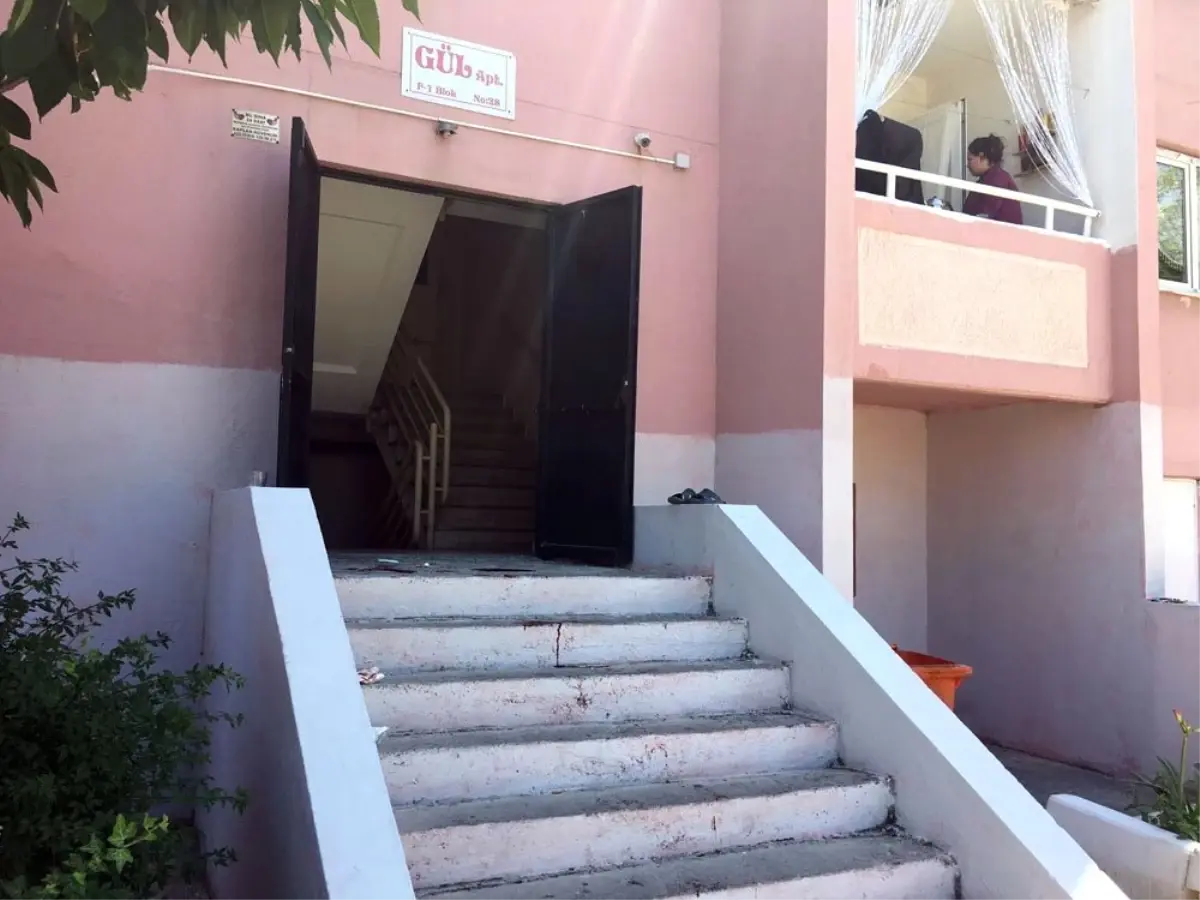 Park kavgası kanlı bitti