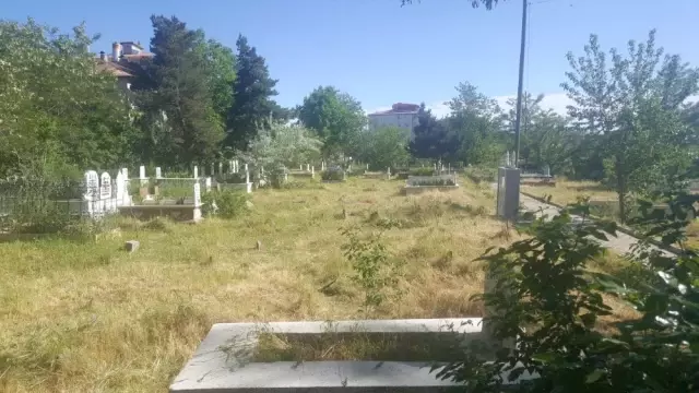Erciş Belediyesi, havaların ısınmasıyla ilaçlama çalışmalarına başladı Erciş Belediyesi, havaların ısınmasıyla ilaçlama çalışmalarına başladı