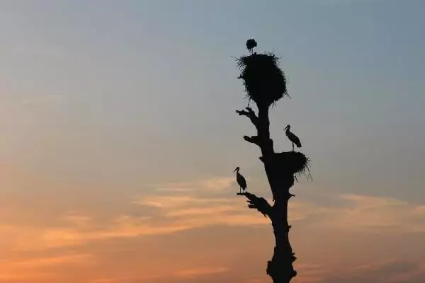 Karadeniz'e tatilci akını Karadeniz'e tatilci akını