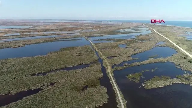 SAMSUN Karadeniz'e tatilci akını