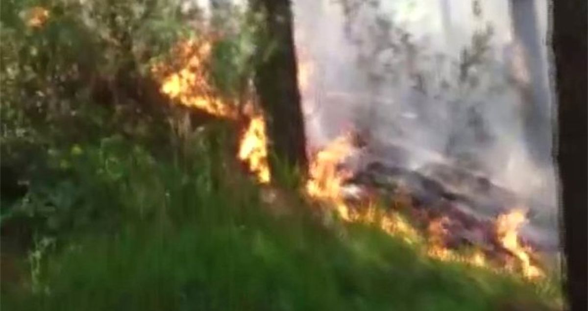 Aydos Ormanı'nda yangın