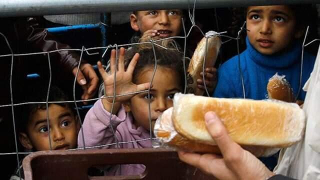 Hollanda'da kayıp mülteci çocuk skandalı: Yüzlercesinin akıbeti bilinmiyor