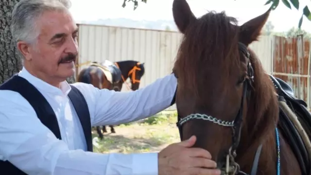 Siyasetin stresini güvercin ve atla atıyor Siyasetin stresini güvercin ve atla atıyor