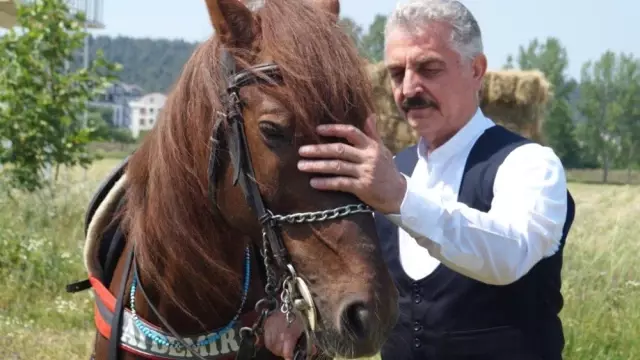 Siyasetin stresini güvercin ve atla atıyor Siyasetin stresini güvercin ve atla atıyor