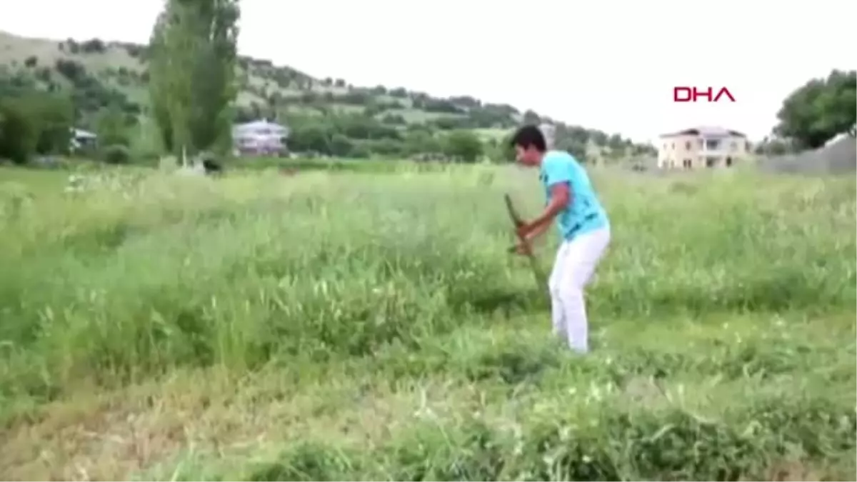 ADIYAMAN HAYVANLARIN KIŞLIK YEMLERİ, YAZ AYLARINDA HAZIRLANIYOR