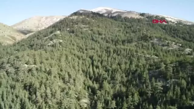 Antalya Mermer Ocaklari Sedir Ormanlarini Tehdit Ediyor Haberler
