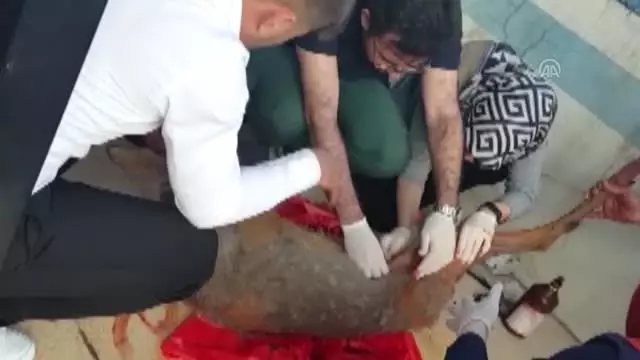 Karaca Home Veronica Gri Saten Nevresim Takimi Pamuk Battaniye Se Fiyatlari Ve Ozellikleri