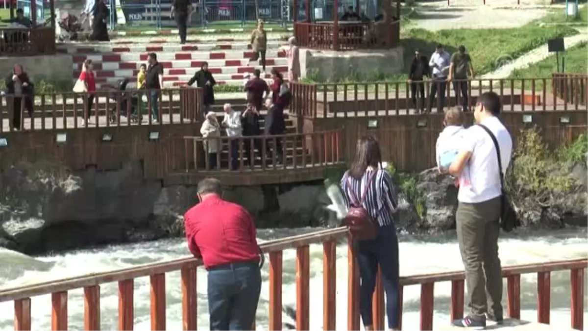 İnci kefalinin tersine yolculuğu büyülüyor