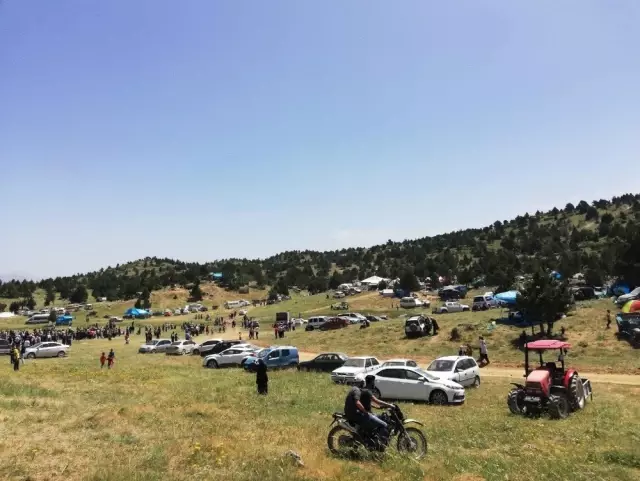 Kahramanmaraş'ta 8. Kiraz Festivali Kahramanmaraş'ta 8. Kiraz Festivali