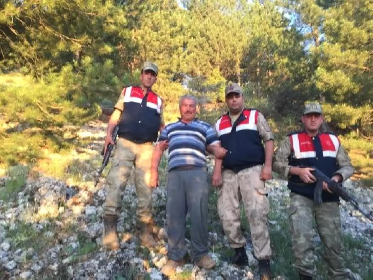 Kayıp olarak aranan kişi, ağacın altında uyurken bulundu