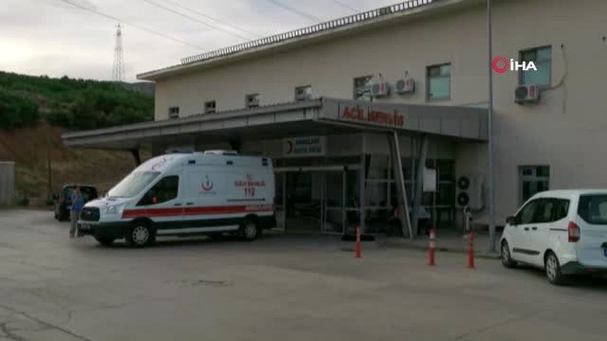 Bal arıları soktu: 1 ölü, 2 kişi hastaneye kaldırıldı