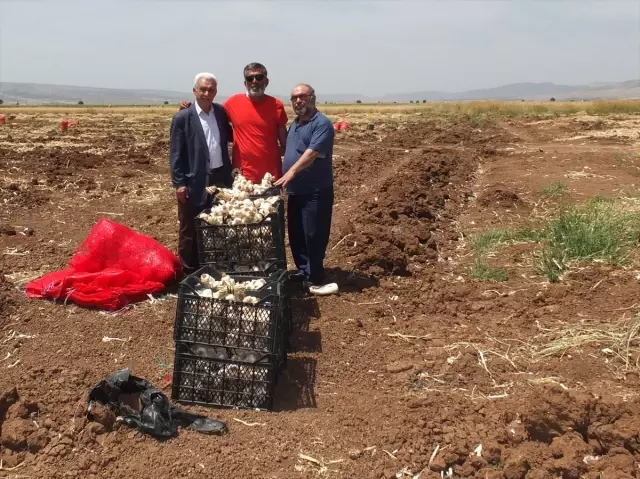 Sarımsak üreticilerinden şehit ailelerine destek Sarımsak üreticilerinden şehit ailelerine destek