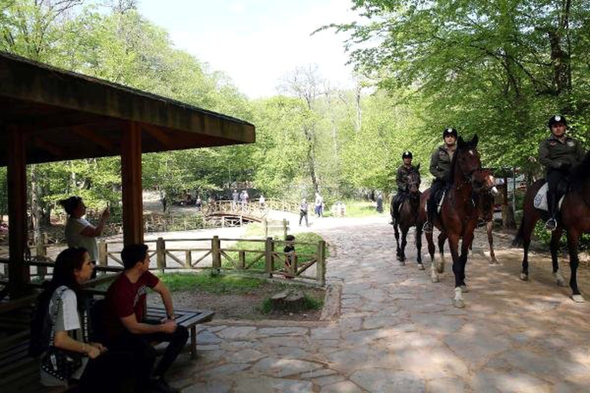 İstanbul Belgrad Ormanları'na atlı koruma geldi!