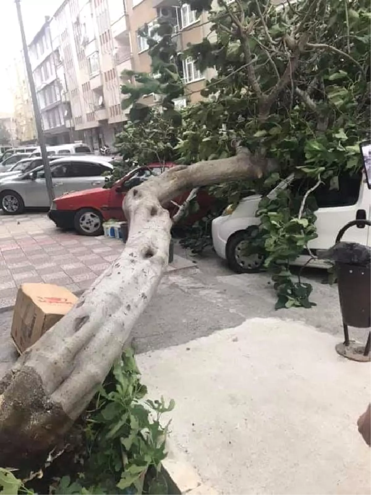 Amasya'da kuvvetli rüzgar çatıları uçurdu