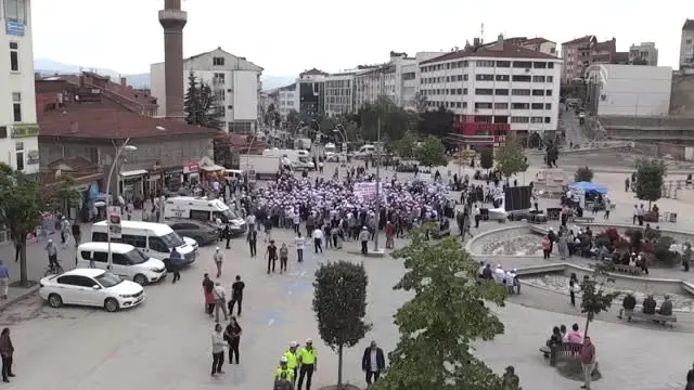 'Emek ve Adalet Yürüyüşü' (2)