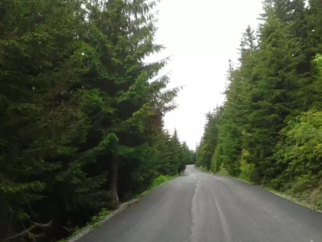 Ordu'da yaylalar birleşiyor