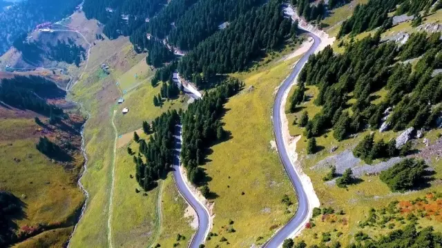 Ordu'da yaylalar birleşiyor