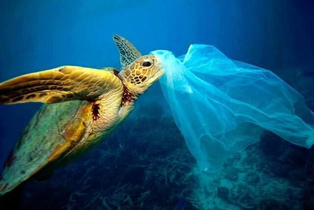 Plastik poşetler ne zaman üretildi? Plastik poşetler doğada kaç yılda yok olur?