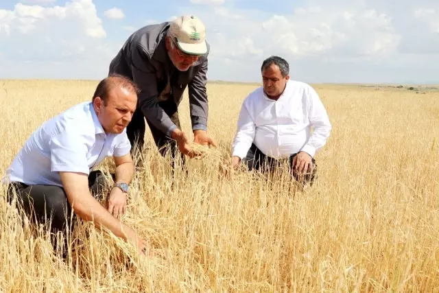 Aksaray'da tarım arazilerini dolu vurdu
