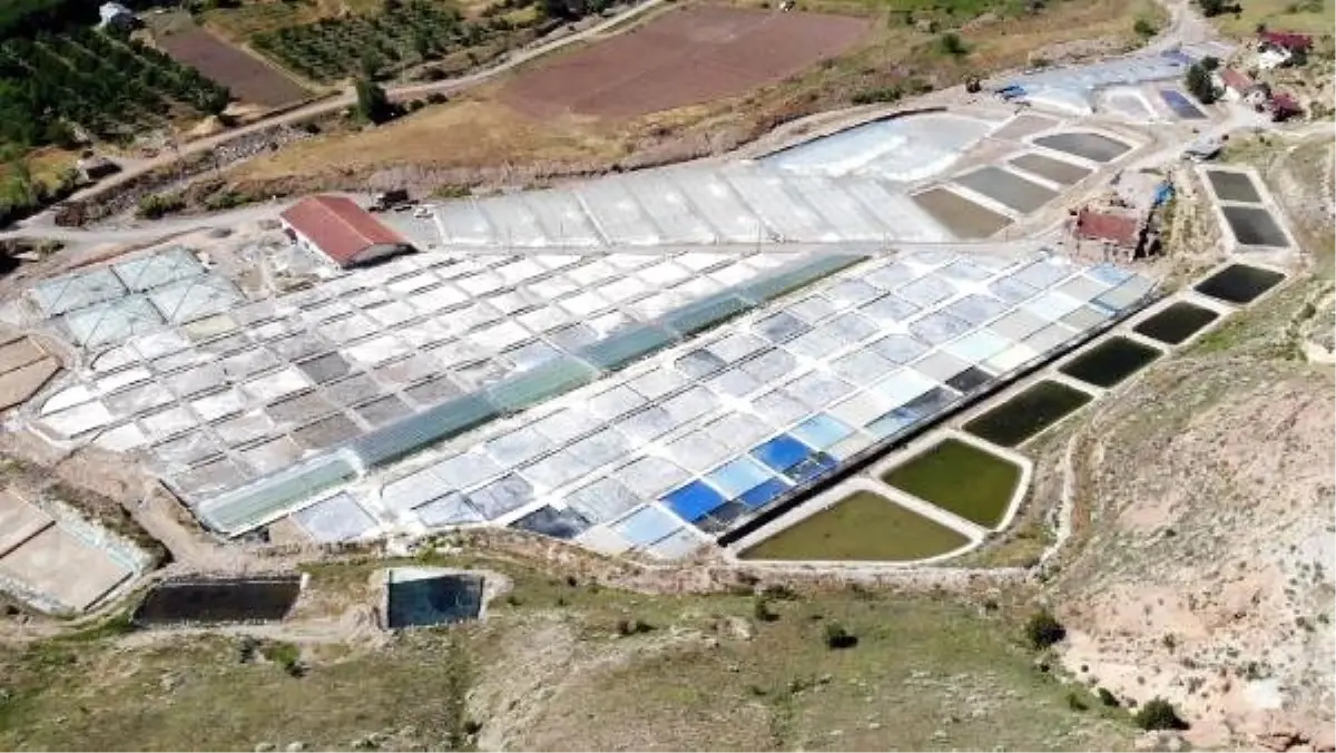 Doğu Anadolu'nun tuz ihtiyacı 450 yıllık bu ocaktan sağlanıyor