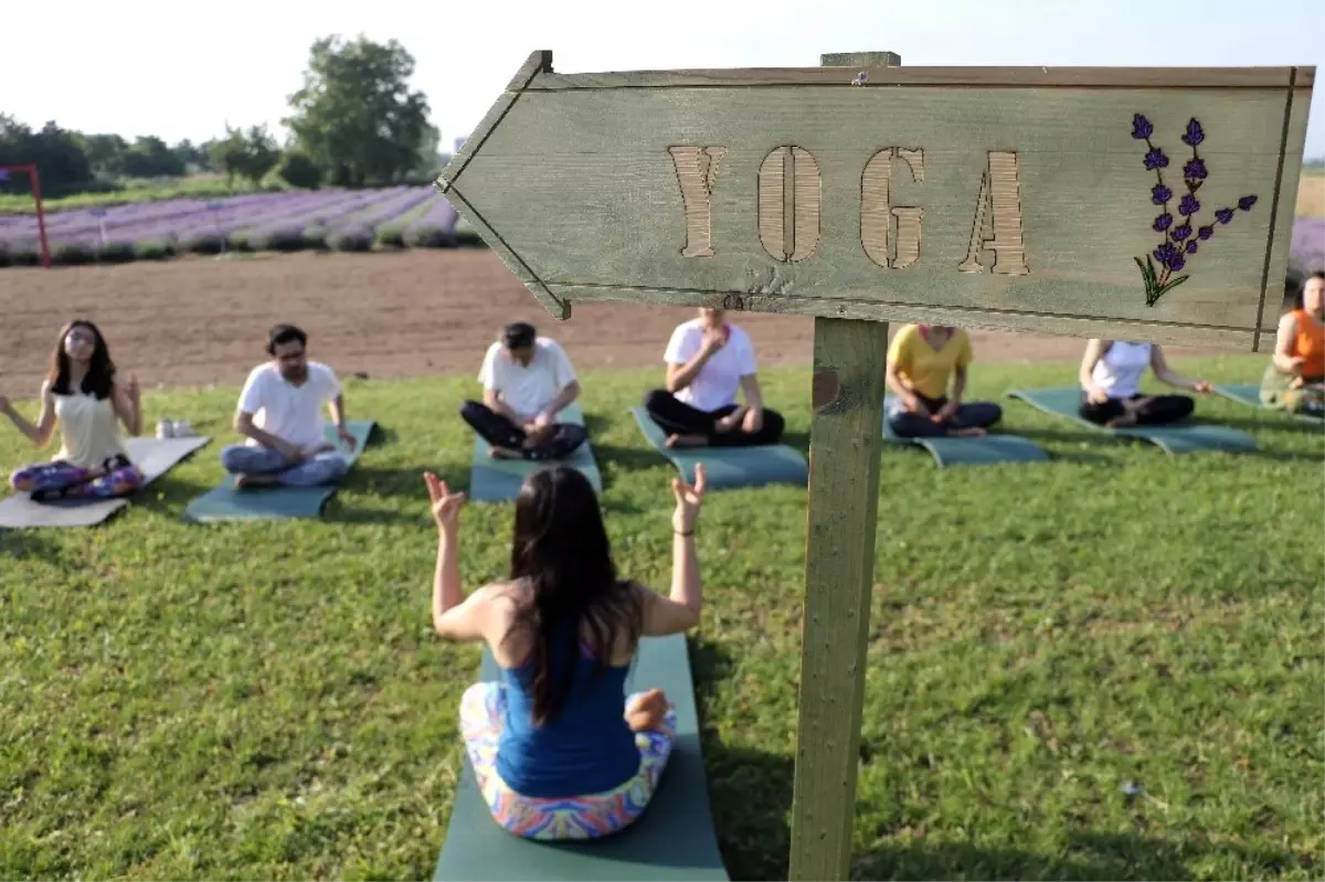 'Lavanta' tarlasında yoga ile güne başladılar