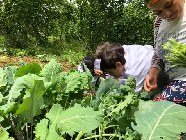 Öğrencilerin ürettiği ürünlerin geliri, heyelan bölgesine gidecek