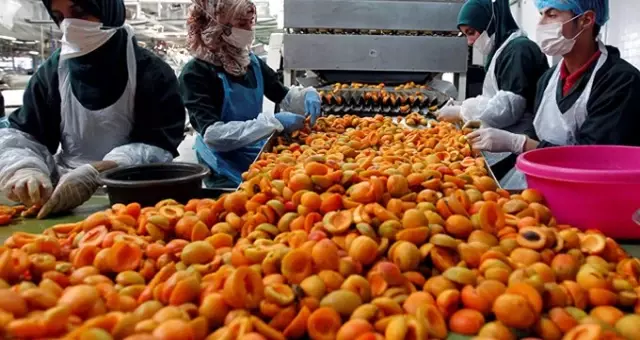 Rusya, Türkiye'den gönderilen 20 ton kayısıyı tezgahlara çıkarmayacak Rusya, Türkiye'den gönderilen 20 ton kayısıyı tezgahlara çıkarmayacak