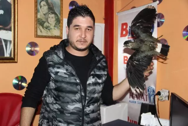 Ölen kuşunu gömmek istemeyince zanaatkar oldu