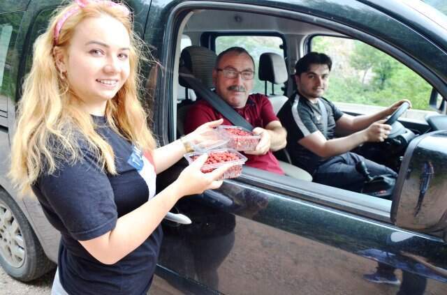 Zor şartlarda toplanan dağ çileğinin kilosu 120 liradan kapış kapış satılıyor