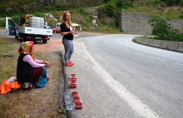 Zor şartlarda toplanan dağ çileğinin kilosu 120 liradan kapış kapış satılıyor