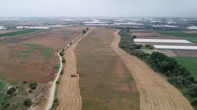 Akdeniz Üniversitesinde tarımsal ürün hasadına başlandı Akdeniz Üniversitesinde tarımsal ürün hasadına başlandı