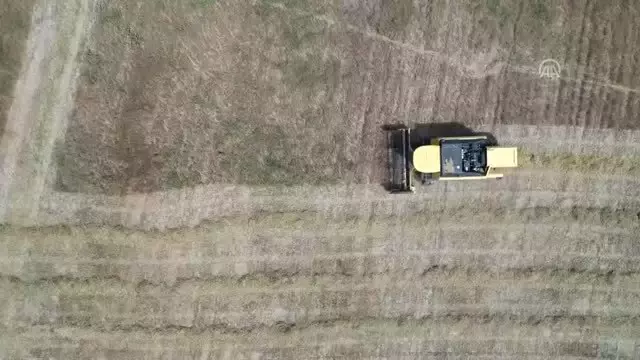 Akdeniz Üniversitesinde tarımsal ürün hasadına başlandı Akdeniz Üniversitesinde tarımsal ürün hasadına başlandı