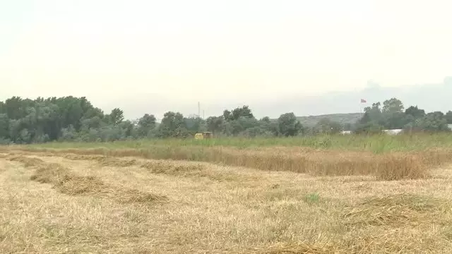 Akdeniz Üniversitesinde tarımsal ürün hasadına başlandı Akdeniz Üniversitesinde tarımsal ürün hasadına başlandı