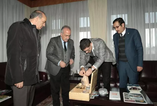 Bombay Fasulyesinin tescil işlemlerine başlandı Bombay Fasulyesinin tescil işlemlerine başlandı