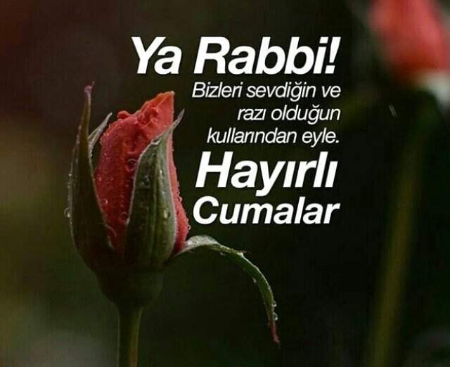 Hayırlı Cuma mesajları 2019 - En yeni, en güzel resimli cuma mesajları