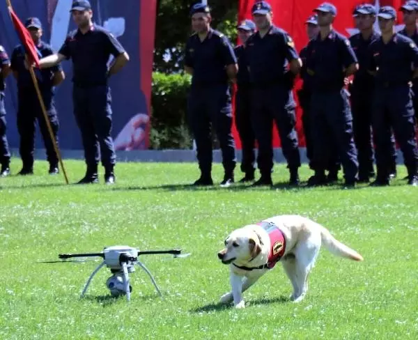 Jandarmanın dedektör köpeklerinin gösterisi ilgi çekti