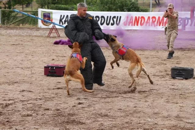 Jandarmanın kuruluşunun 180. yıldönümü kutlandı Jandarmanın kuruluşunun 180. yıldönümü kutlandı