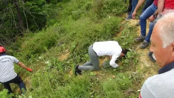Otomobil ormana yuvarlandı: 1 ölü, 5 yaralı Otomobil ormana yuvarlandı: 1 ölü, 5 yaralı