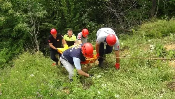 Otomobil ormana yuvarlandı: 1 ölü, 5 yaralı Otomobil ormana yuvarlandı: 1 ölü, 5 yaralı
