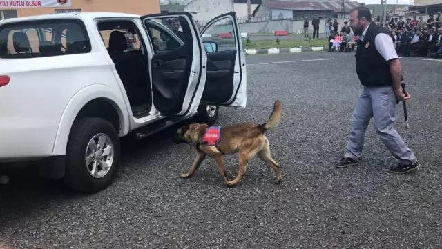 Patlayıcı madde ve bomba uzmanı köpeklerin gösterisi beğeni kazandı Patlayıcı madde ve bomba uzmanı köpeklerin gösterisi beğeni kazandı
