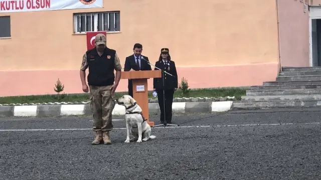 Patlayıcı madde ve bomba uzmanı köpeklerin gösterisi beğeni kazandı Patlayıcı madde ve bomba uzmanı köpeklerin gösterisi beğeni kazandı