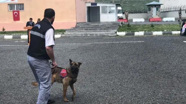 Patlayıcı madde ve bomba uzmanı köpeklerin gösterisi beğeni kazandı Patlayıcı madde ve bomba uzmanı köpeklerin gösterisi beğeni kazandı