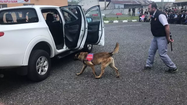 Patlayıcı madde ve bomba uzmanı köpeklerin gösterisi beğeni kazandı Patlayıcı madde ve bomba uzmanı köpeklerin gösterisi beğeni kazandı