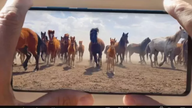 Reklam filmlerinin gözde mekanı Hürmetçi Sazlığı Reklam filmlerinin gözde mekanı Hürmetçi Sazlığı