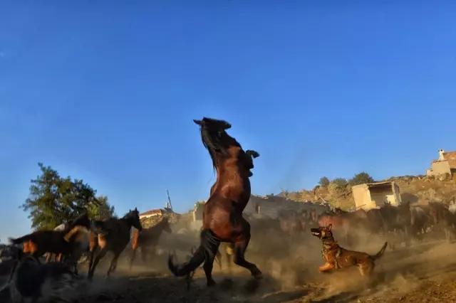 Reklam filmlerinin gözde mekanı Hürmetçi Sazlığı Reklam filmlerinin gözde mekanı Hürmetçi Sazlığı