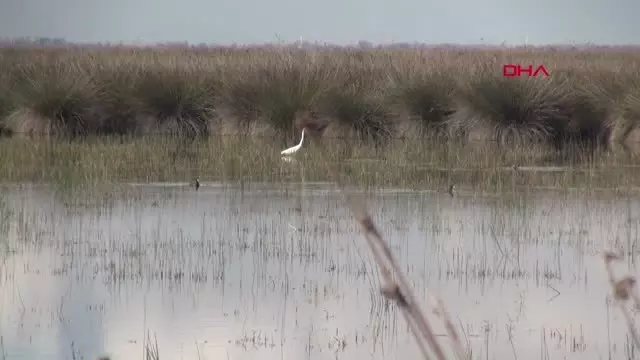 SAMSUN Kızılırmak Deltası için UNESCO süreci gelecek yıla kaldı SAMSUN Kızılırmak Deltası için UNESCO süreci gelecek yıla kaldı