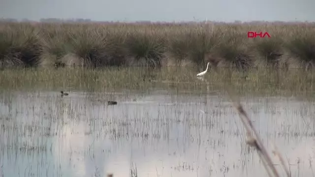 SAMSUN Kızılırmak Deltası için UNESCO süreci gelecek yıla kaldı SAMSUN Kızılırmak Deltası için UNESCO süreci gelecek yıla kaldı