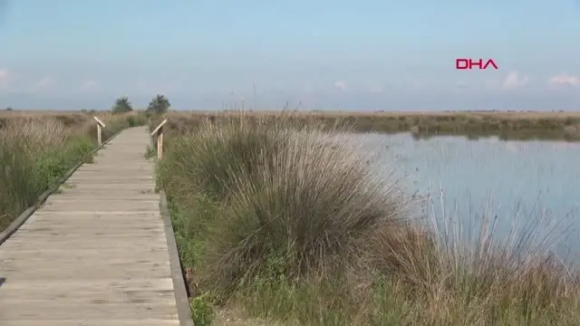 SAMSUN Kızılırmak Deltası için UNESCO süreci gelecek yıla kaldı SAMSUN Kızılırmak Deltası için UNESCO süreci gelecek yıla kaldı