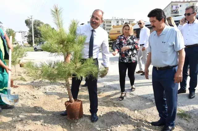 Tarsus'ta 151. yılda Türkan Saylan anısına 151 fidan dikildi Tarsus'ta 151. yılda Türkan Saylan anısına 151 fidan dikildi
